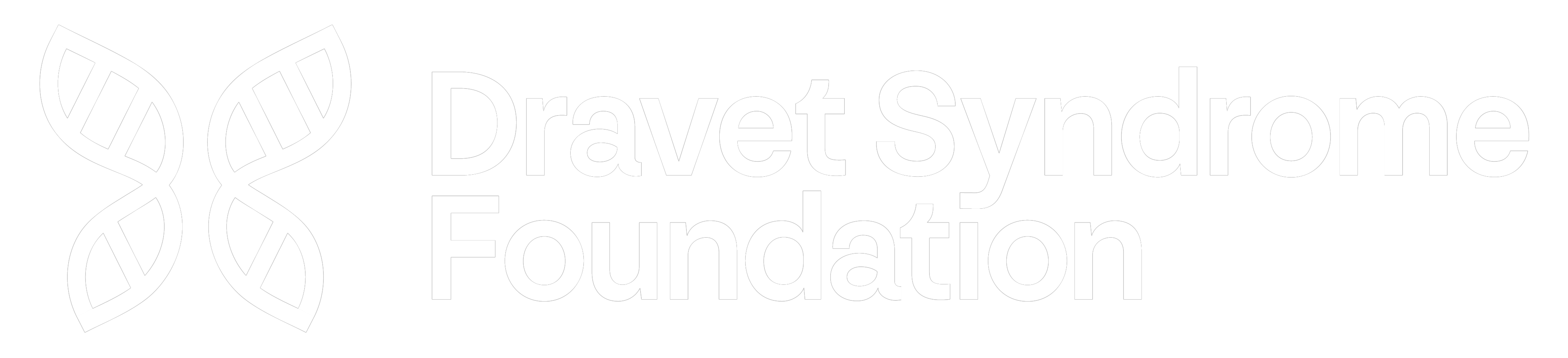 Dravet Syndrome Foundation